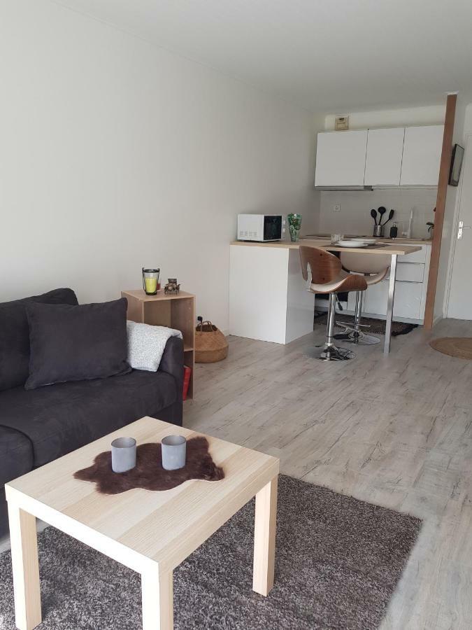 Laurier Appartement Toulouse Buitenkant foto
